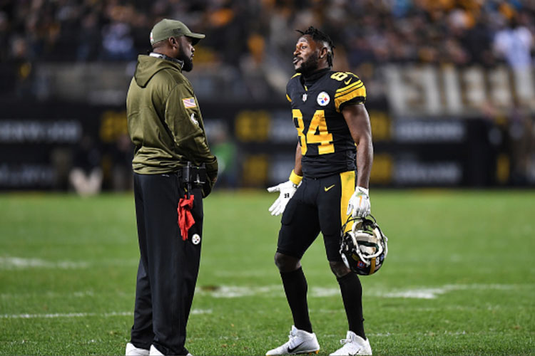 He has a Knack for Capturing Steelers Fans' Euphoria