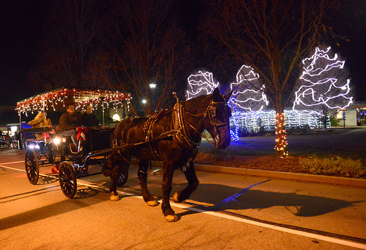 Festival of Lights Illuminates Holiday Cheer | Pittsburgh Magazine