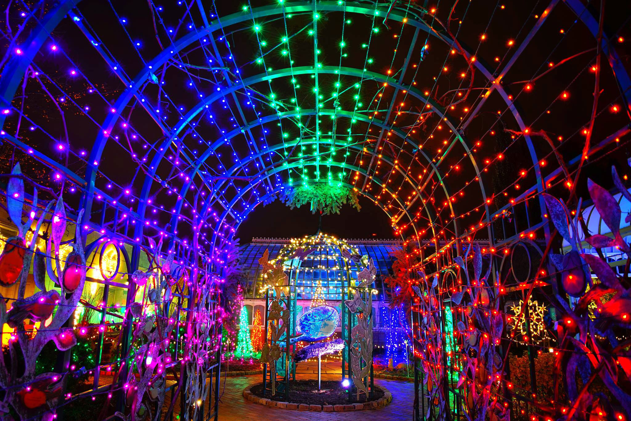 A Guide to Under21 College Nightlife in Pittsburgh Pittsburgh Magazine