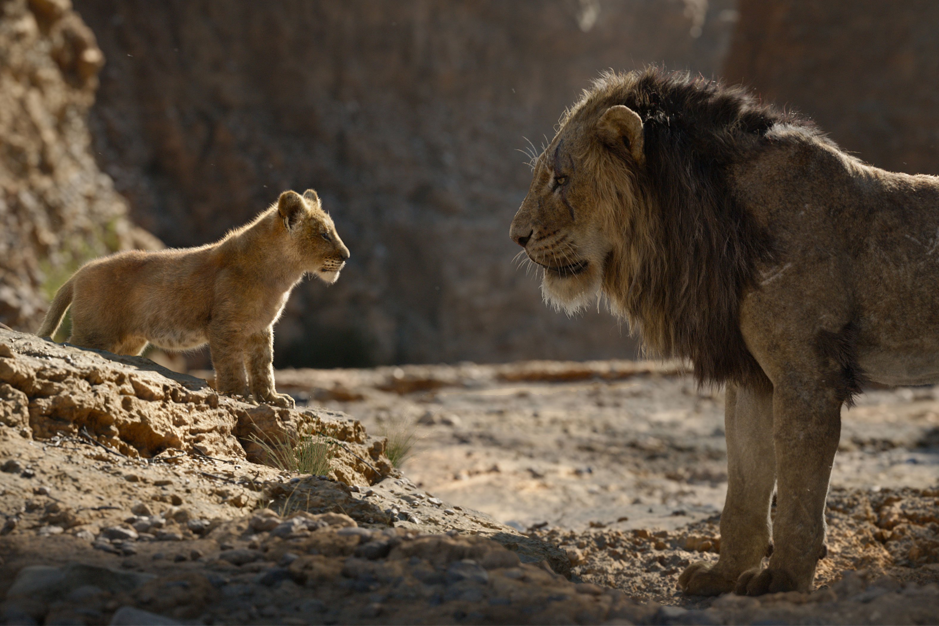 The 400-Word Review: The Lion King | Pittsburgh Magazine