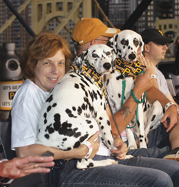 The Pittsburgh Pirates roll out the red carpet for Pup Night