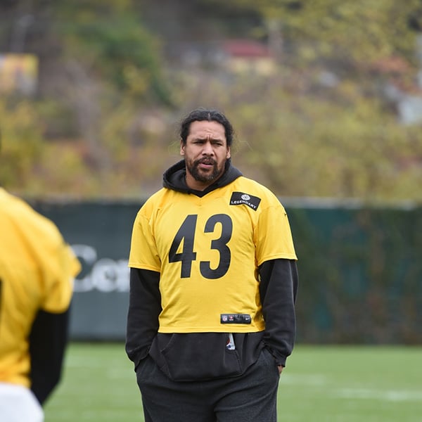 Troy Polamalu came up small in big game - NBC Sports