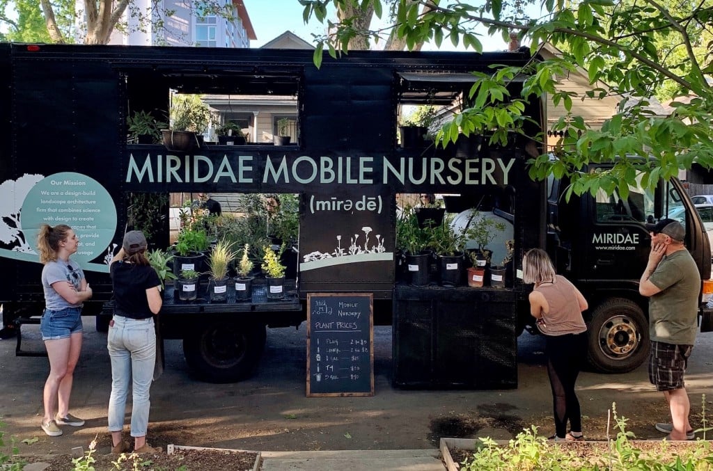 Miridae Mobile Nursery 2