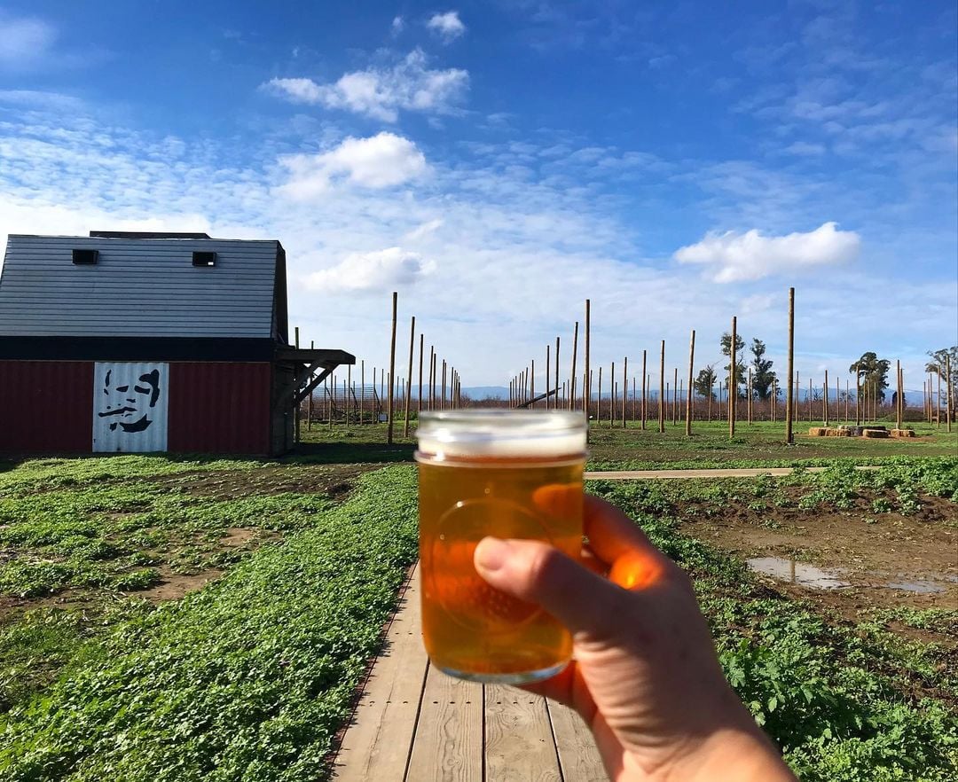 Ruhstaller Farm in Dixon to celebrate grand opening for new taproom and