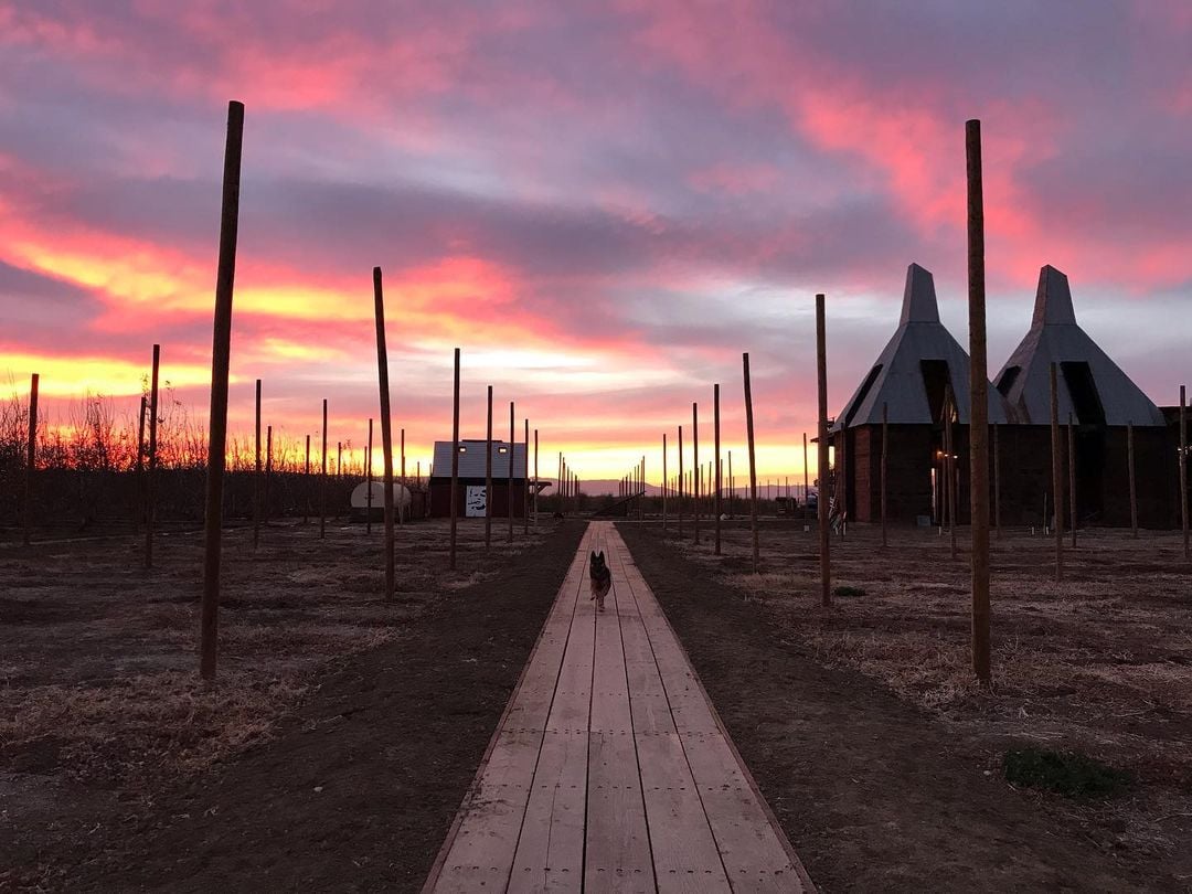 Ruhstaller Farm in Dixon to celebrate grand opening for new taproom and