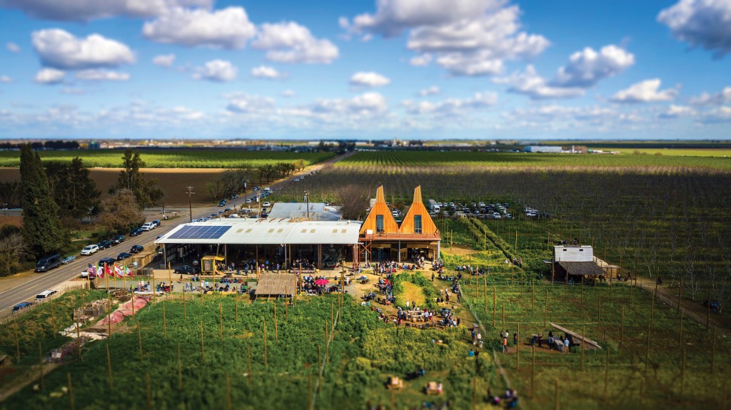 Field of Dreams Ruhstaller Farm Sactown Magazine