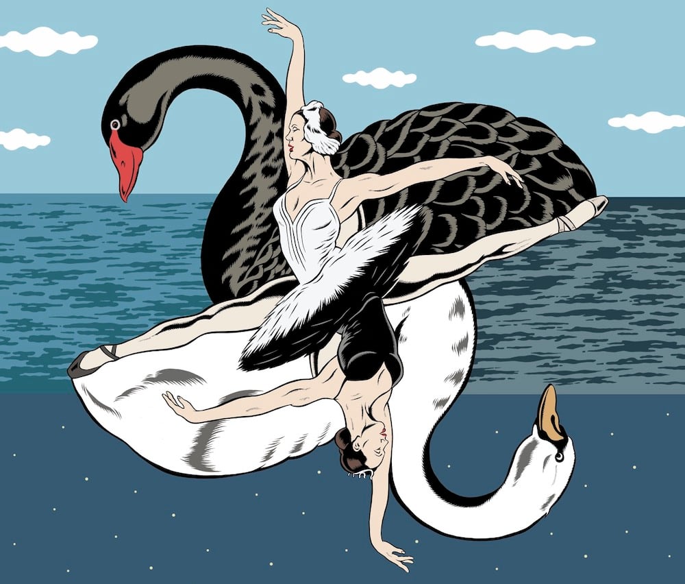 A mirrored depiction of the White and Black swans from Swan Lake