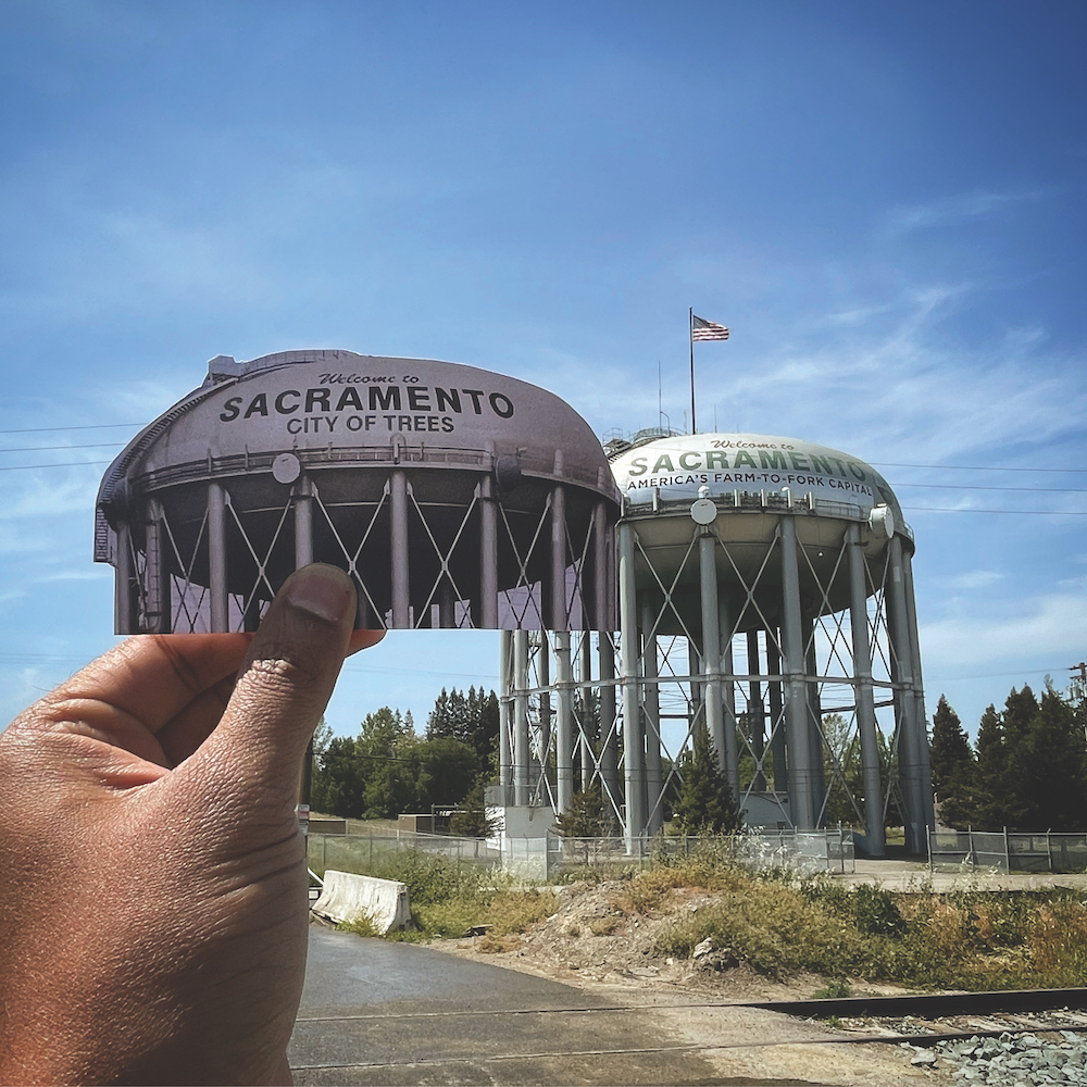 The City of Trees A Love Letter Sactown Magazine