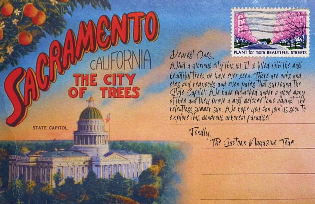 Food, history and glorious trees: A weekend in Sacramento - Los Angeles  Times