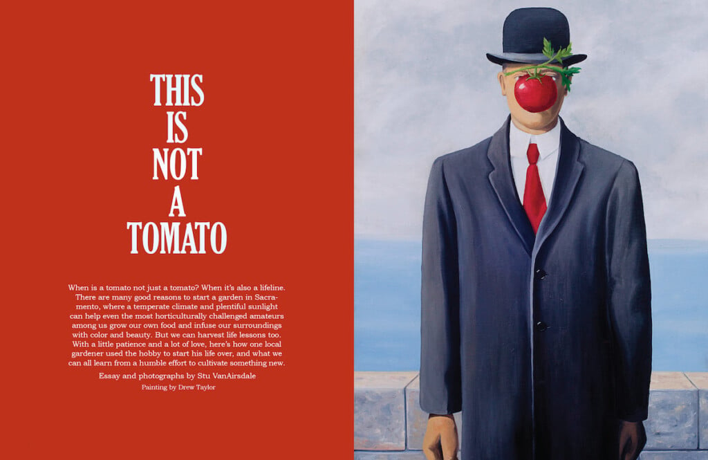 An opening spread to the gardening essay, showing a man with a tomato blacking his face, and the text "This is not a tomato"