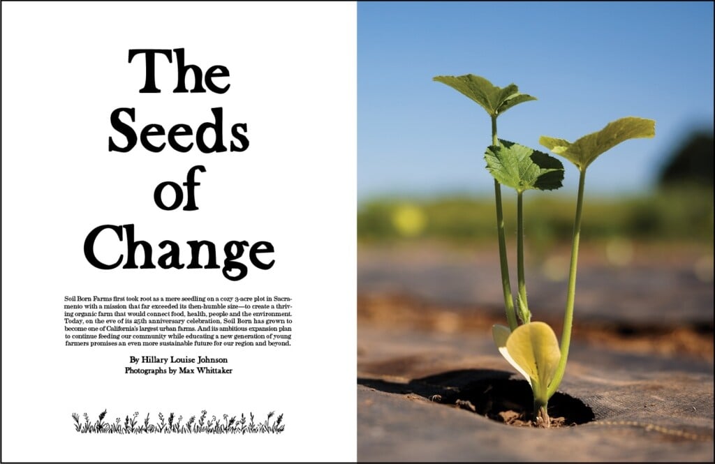 Soil Born Opening Spread Border