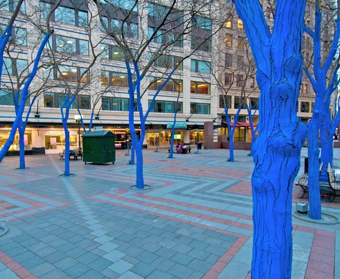 Blue Trees Art Installation Coming to Sacramento - Sactown Magazine