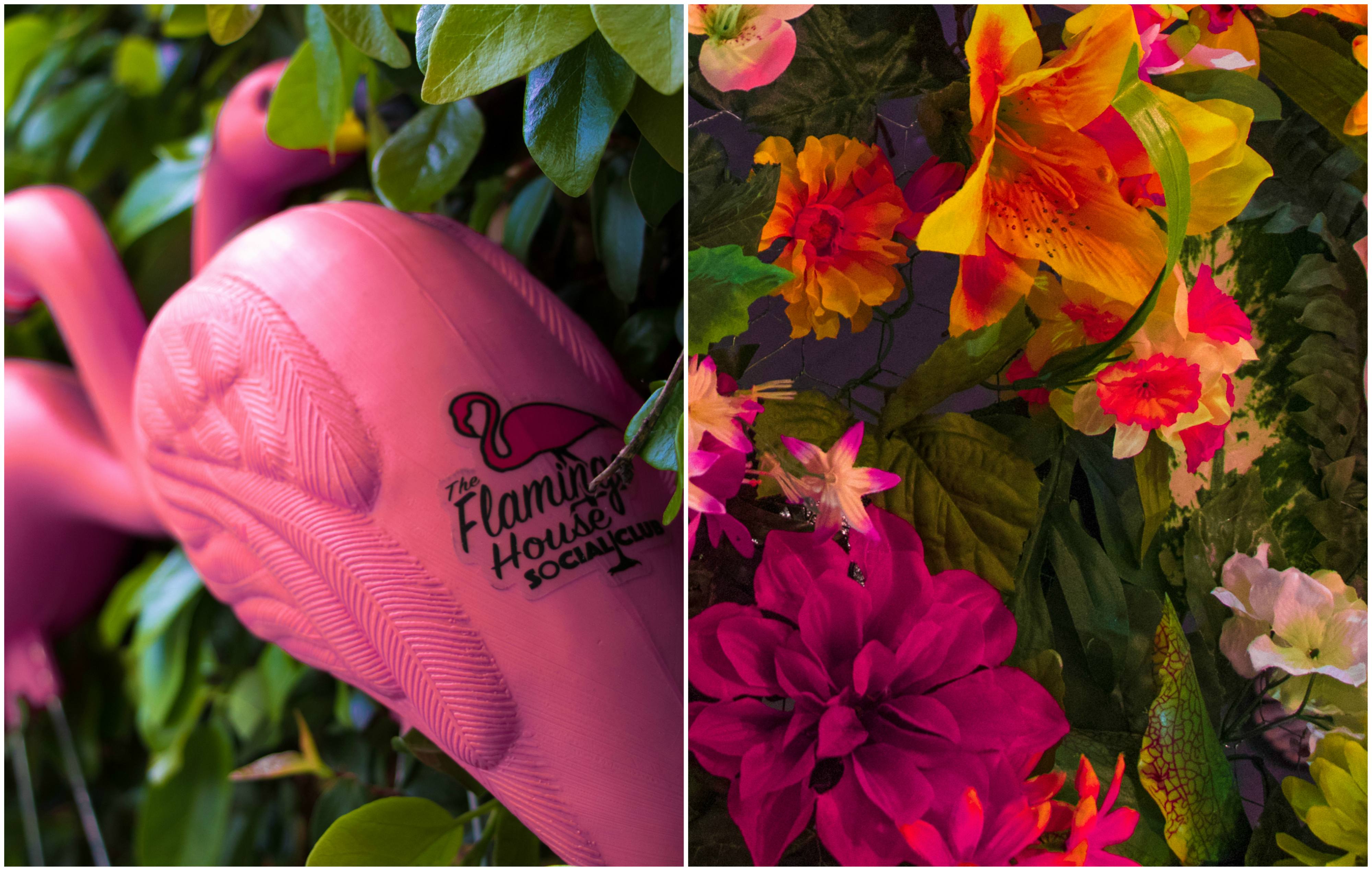 The Flamingo House bar to open this summer