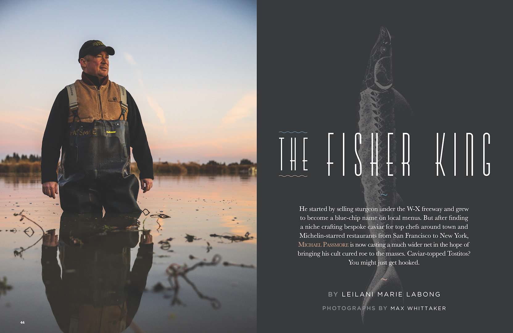 The Fisher King - Michael Passmore - Sactown Magazine