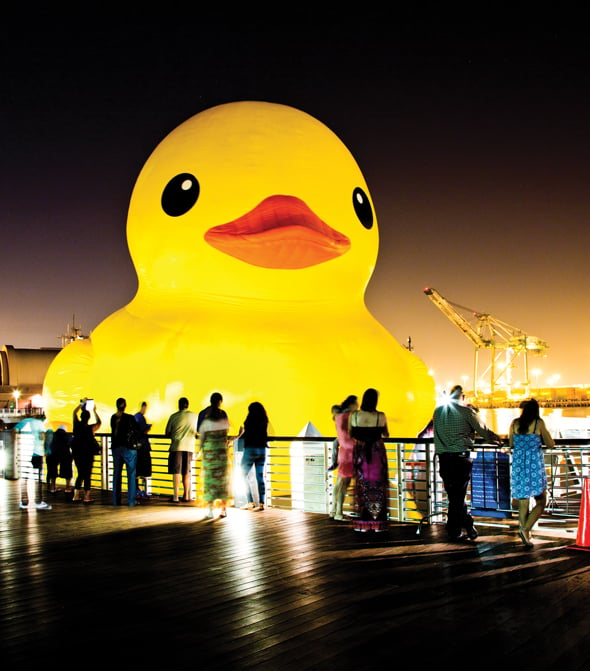 rubber ducks from around the world