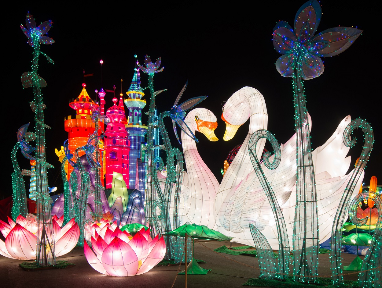 Cal Expo Winter Wonderland Promo Code 2021 At Levi Skipper Blog Cal Expo Winter Wonderland Promo Code 2021 At Levi Skipper Blog