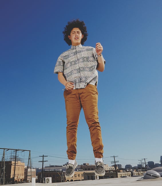 The Fall Rise Of Hobo Johnson