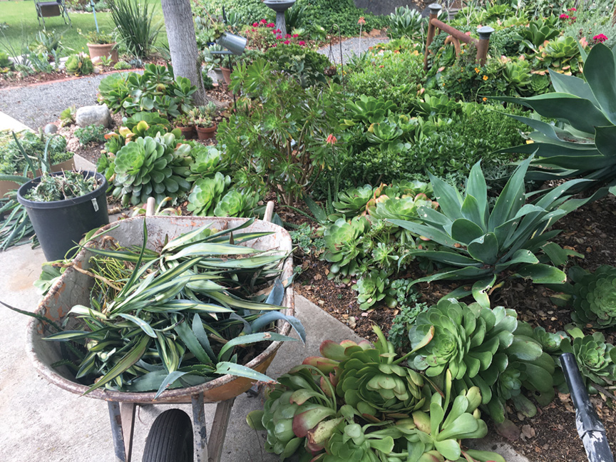 garden guide
