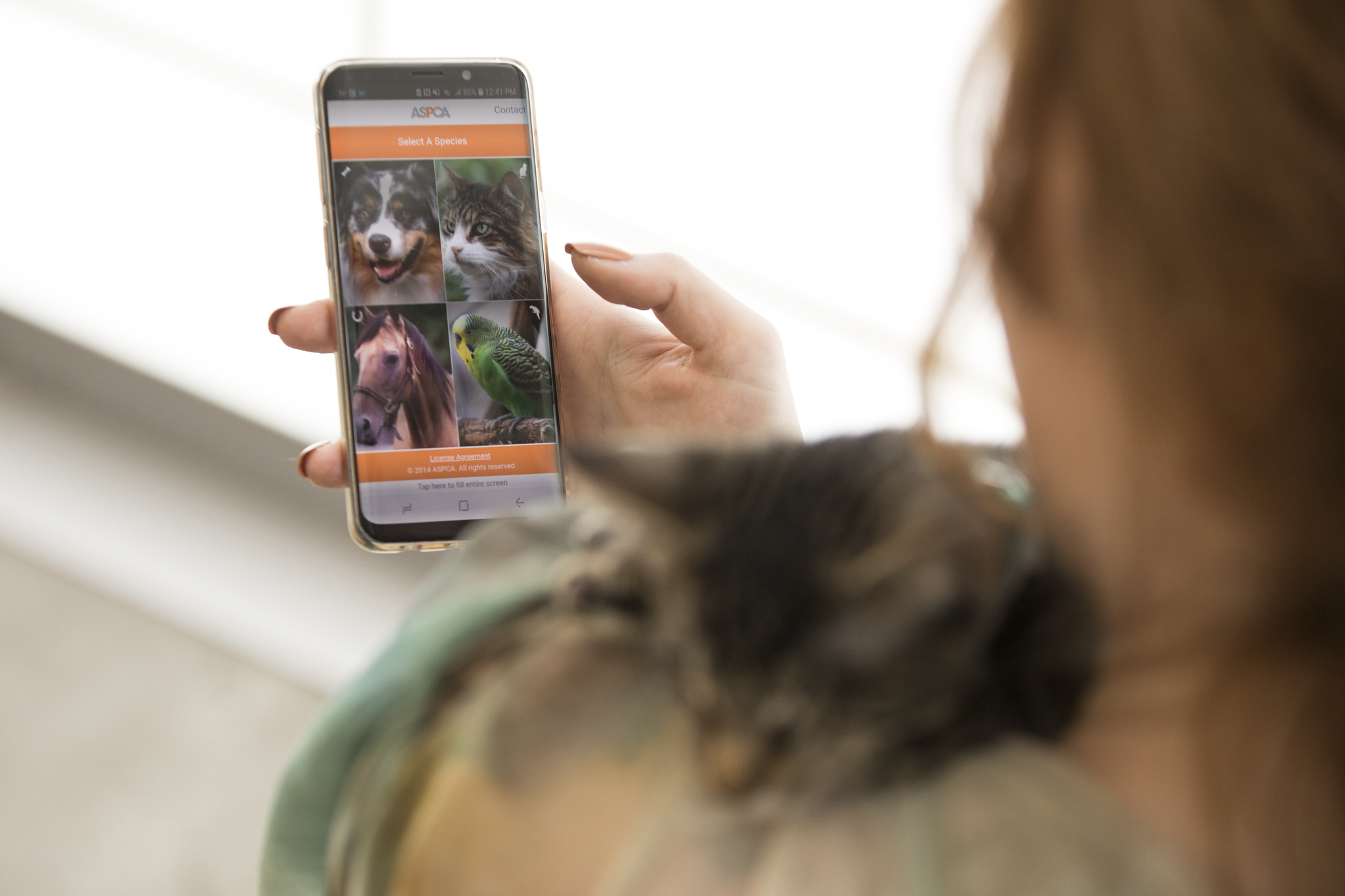 7 Life-Changing Apps for Pet Owners - San Diego Home/Garden Lifestyles