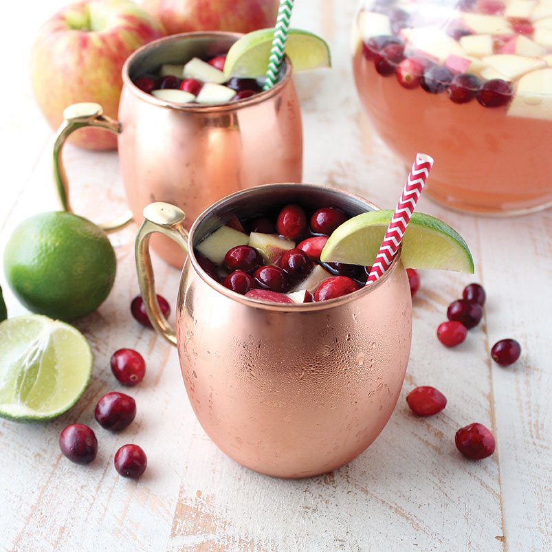 Moscow Mule Punch - The Farmwife Drinks