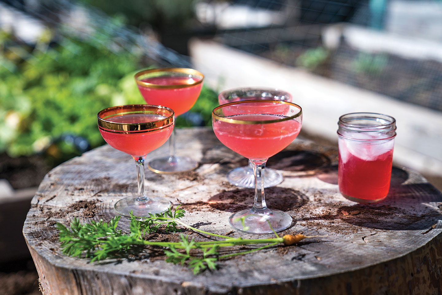 Cranberry Gin Gin Fizz Cocktail Recipe San Diego Home/Garden Lifestyles