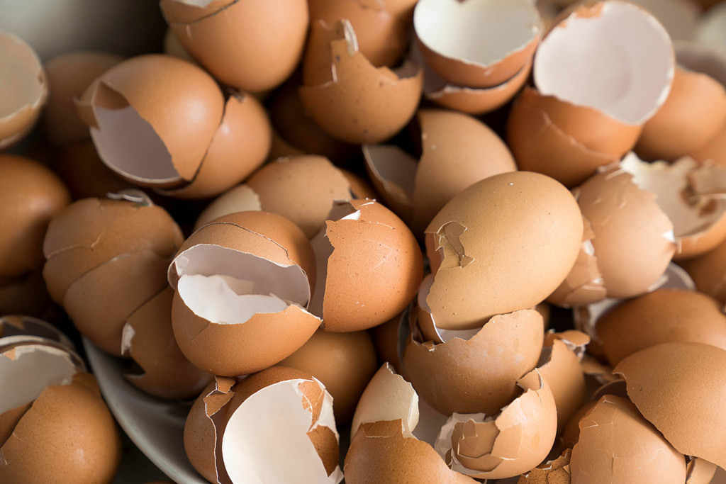 Easy Eggshell Garden Hacks San Diego Home/Garden Lifestyles