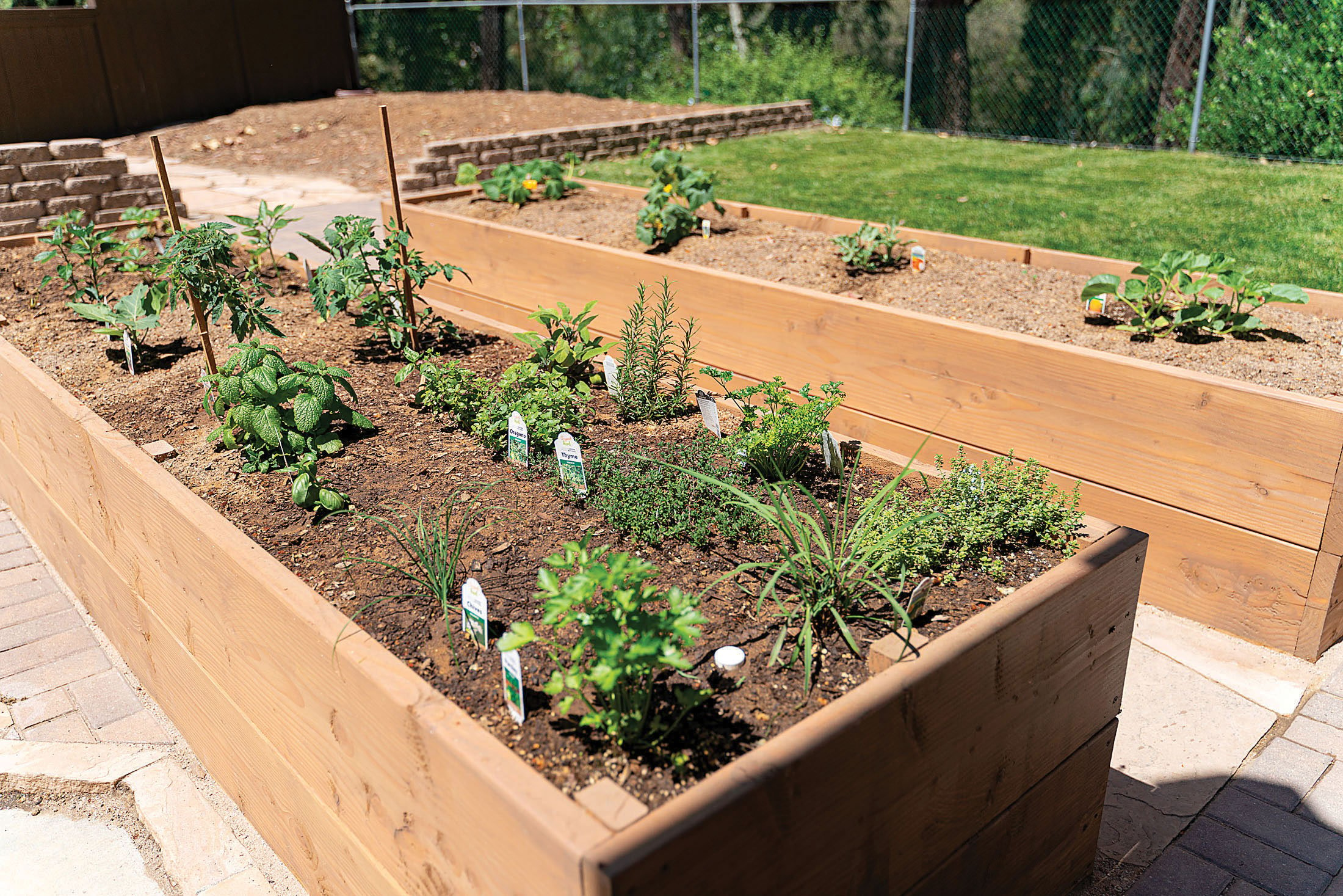 start-a-simple-kitchen-garden-now-san-diego-home-garden-lifestyles