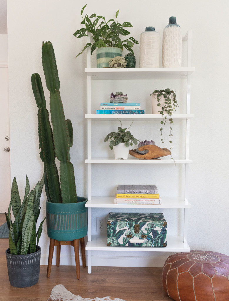 How to Spruce up Your Space with Houseplants - San Diego Home/Garden ...