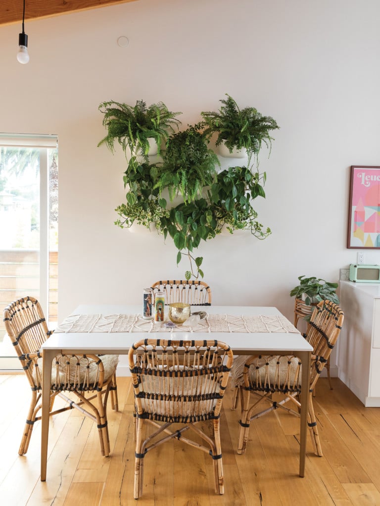 How to Spruce up Your Space with Houseplants - San Diego Home/Garden ...