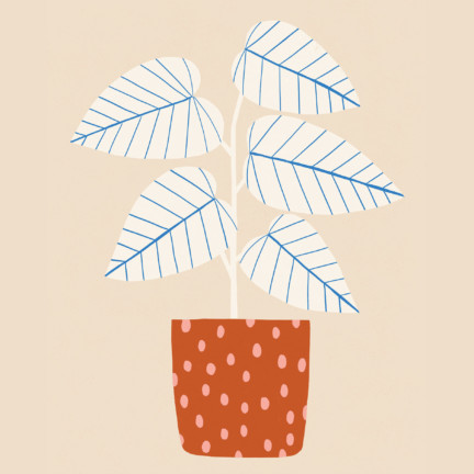 Blue_Lines_Plant_Sarah_Golden5x7