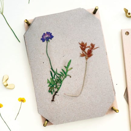 Blumenpresse_flowerpress_Geschenk-Einschulung_STUDIOKARAMELO_07