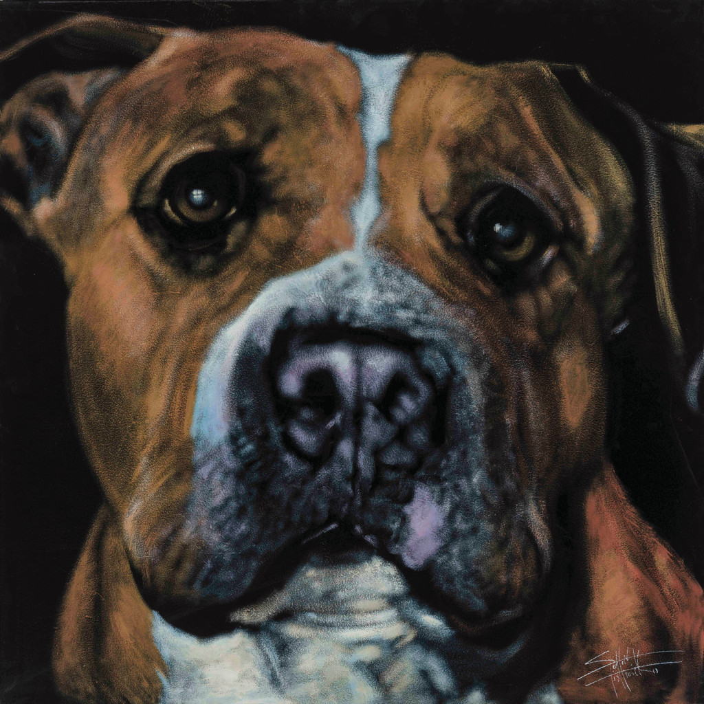 Inspiring Animal Paintings by Six San Diego Pet Artists - San Diego ...