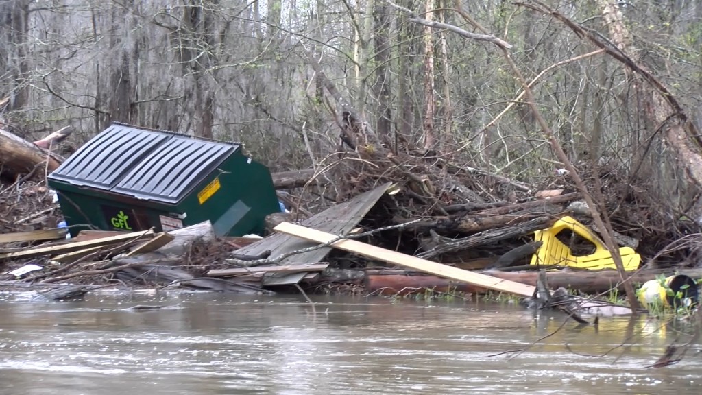 Creek Litter