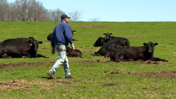 200504122636 Terry Quam Marda Angus Farms Live Video