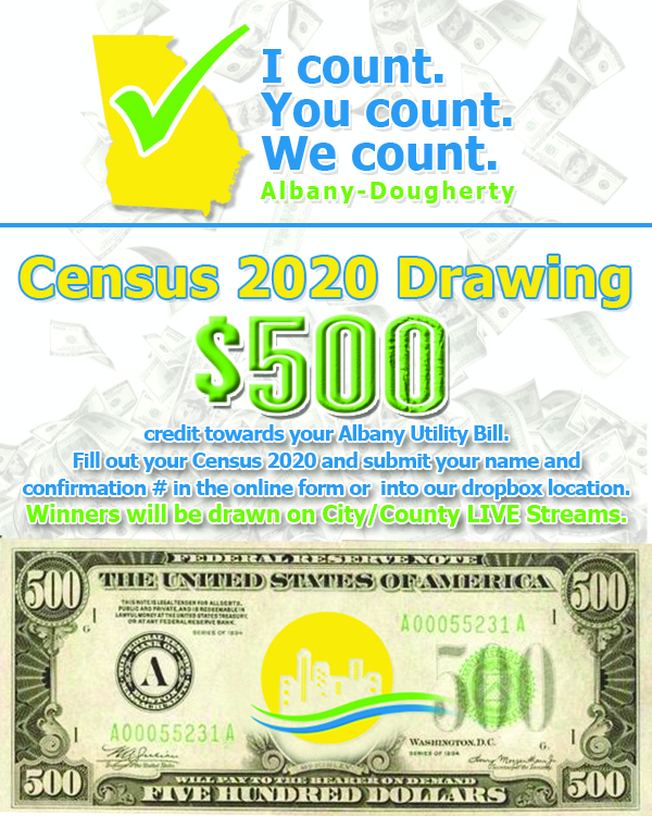 Census 2020 500 Bill Credit