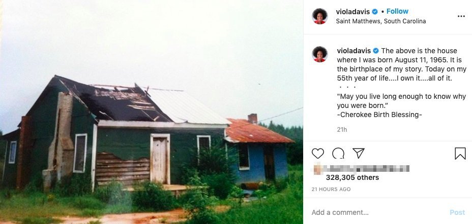 Viola Davis Home