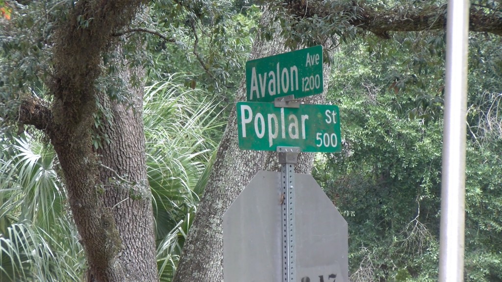 Poplar And Avalon