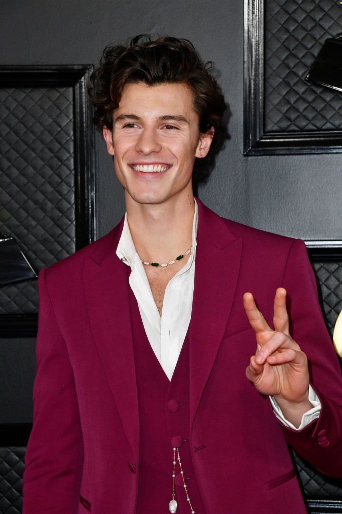 62nd Annual Grammy Awards – Arrivals
