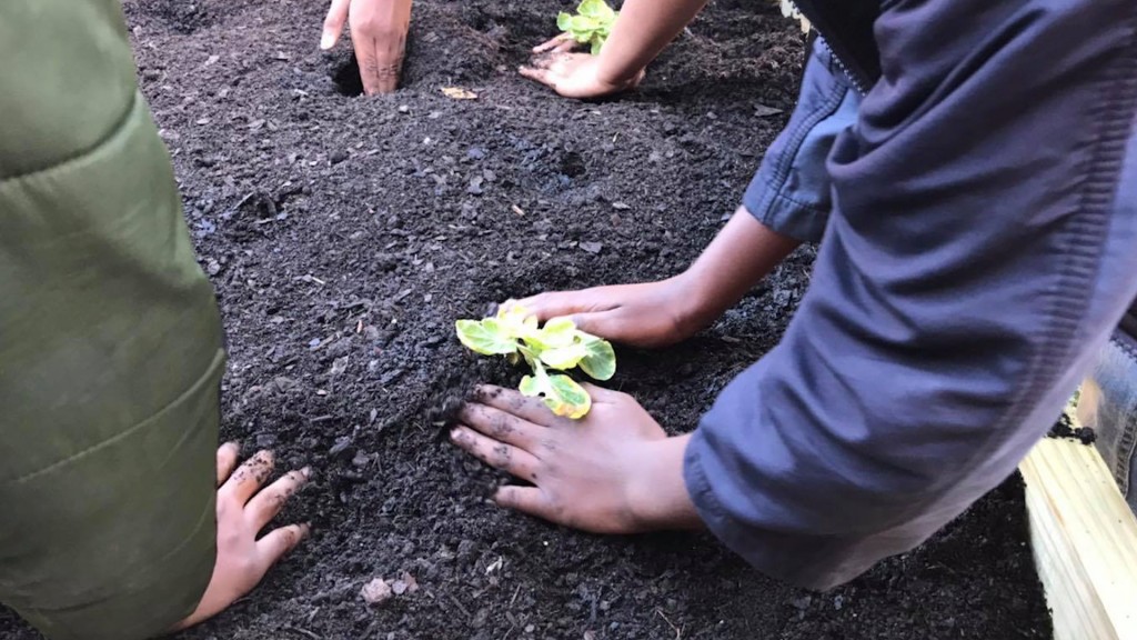 Dougherty County Students Set To Garden Their Own Cafeteria Produce