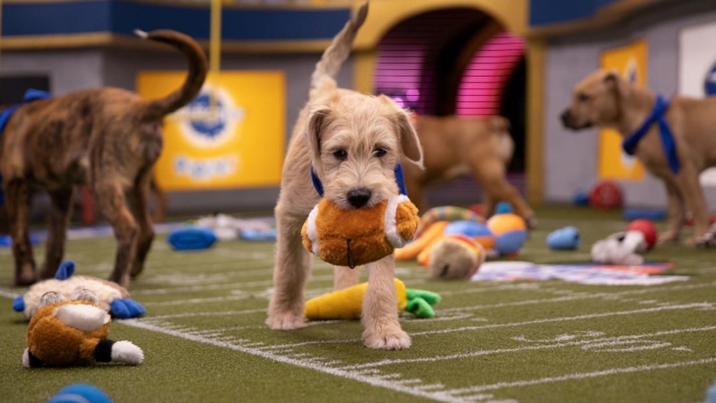 Puppy Bowl