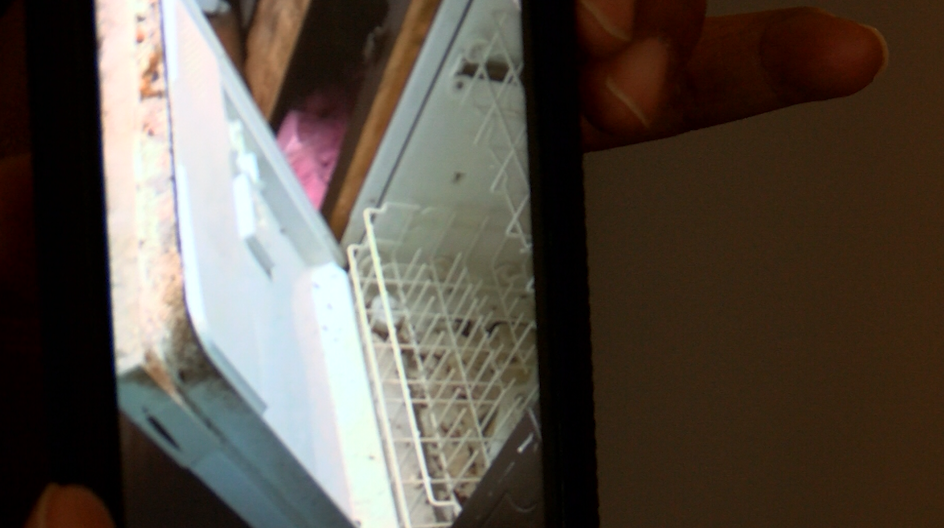South Albany Woman Uniting Tenants Over Health Concerns