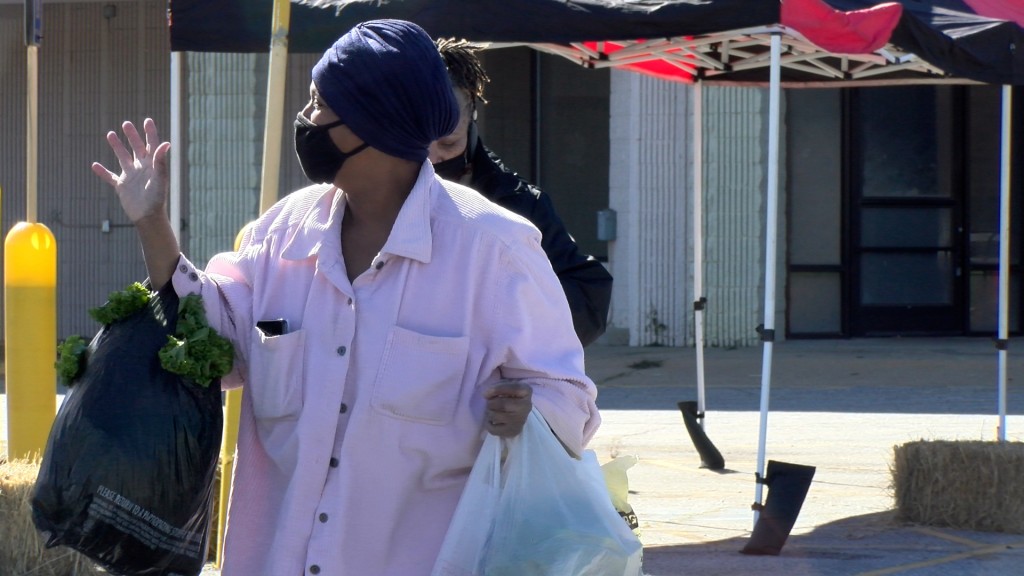 Woman Shopping Farmers Market