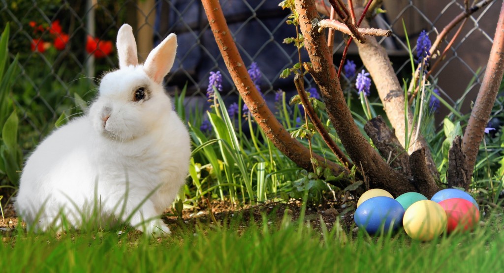 Easter 2173193 1920