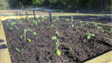Frf Garden