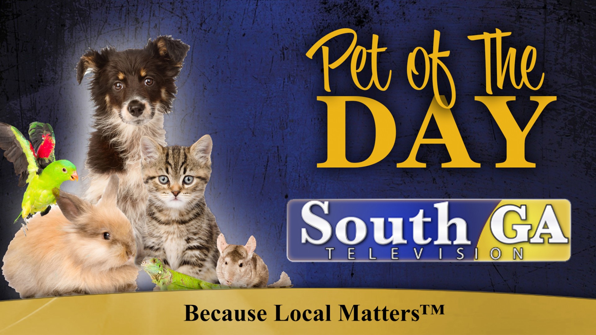 South Georgia Pets - SouthGATV