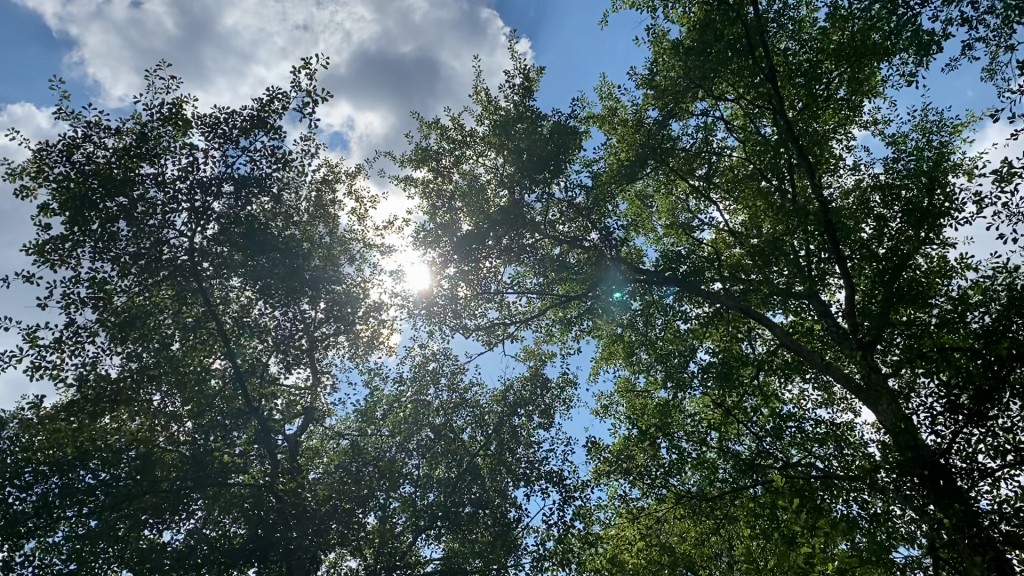 Rising Temps Means Rising Health And Safety Risks