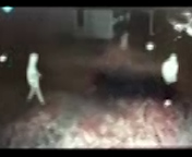 Vehicle Entry Suspects