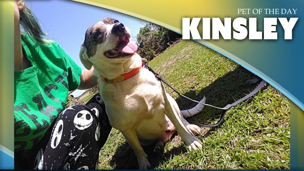 Kinsley