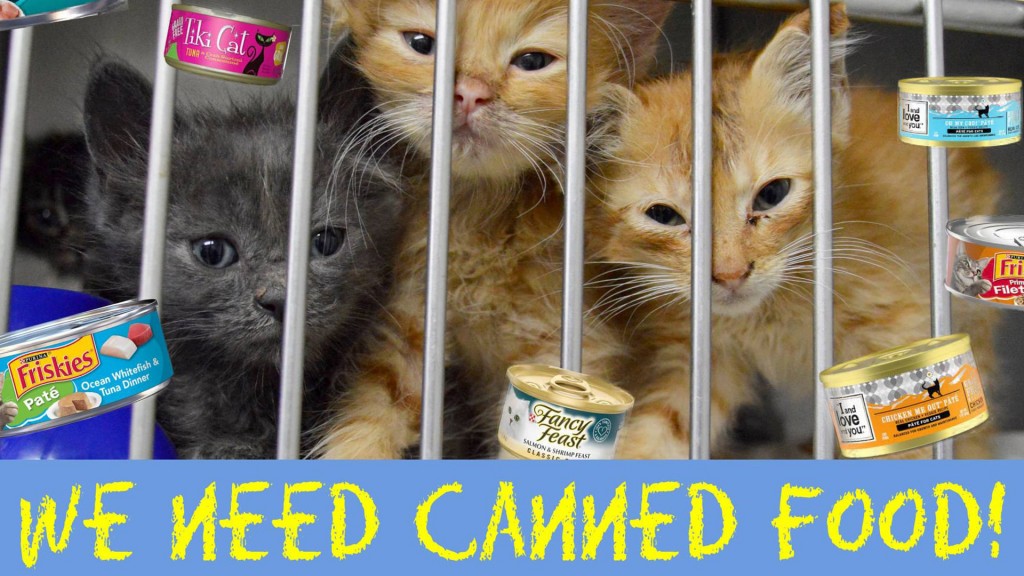 Kitties Need Food