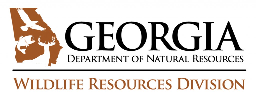 Gdnr